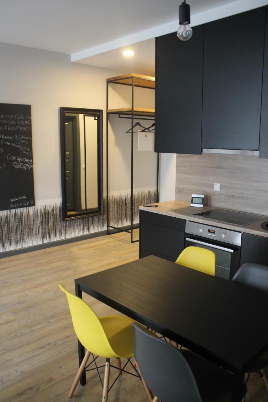 Smartflat & New Apartment City Center Каунас Екстер'єр фото